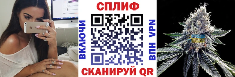 Виды наркотиков купить Королёв Конопля  Alpha PVP  МЕГА ТОР  Амфетамин  Cocaine  Меф 