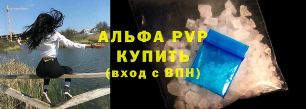 дживик Богданович