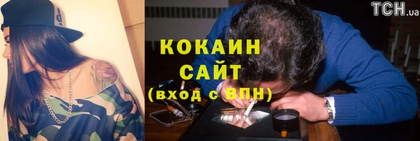 дживик Богданович