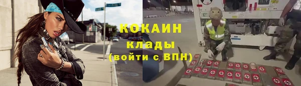 мескалин Богородицк