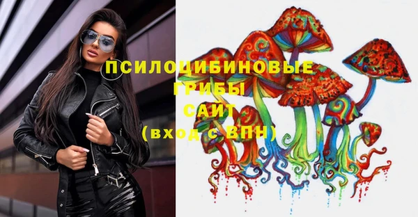 дживик Богданович
