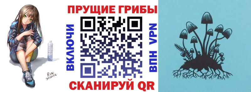 omg ТОР  Королёв  Псилоцибиновые грибы ЛСД  наркота 